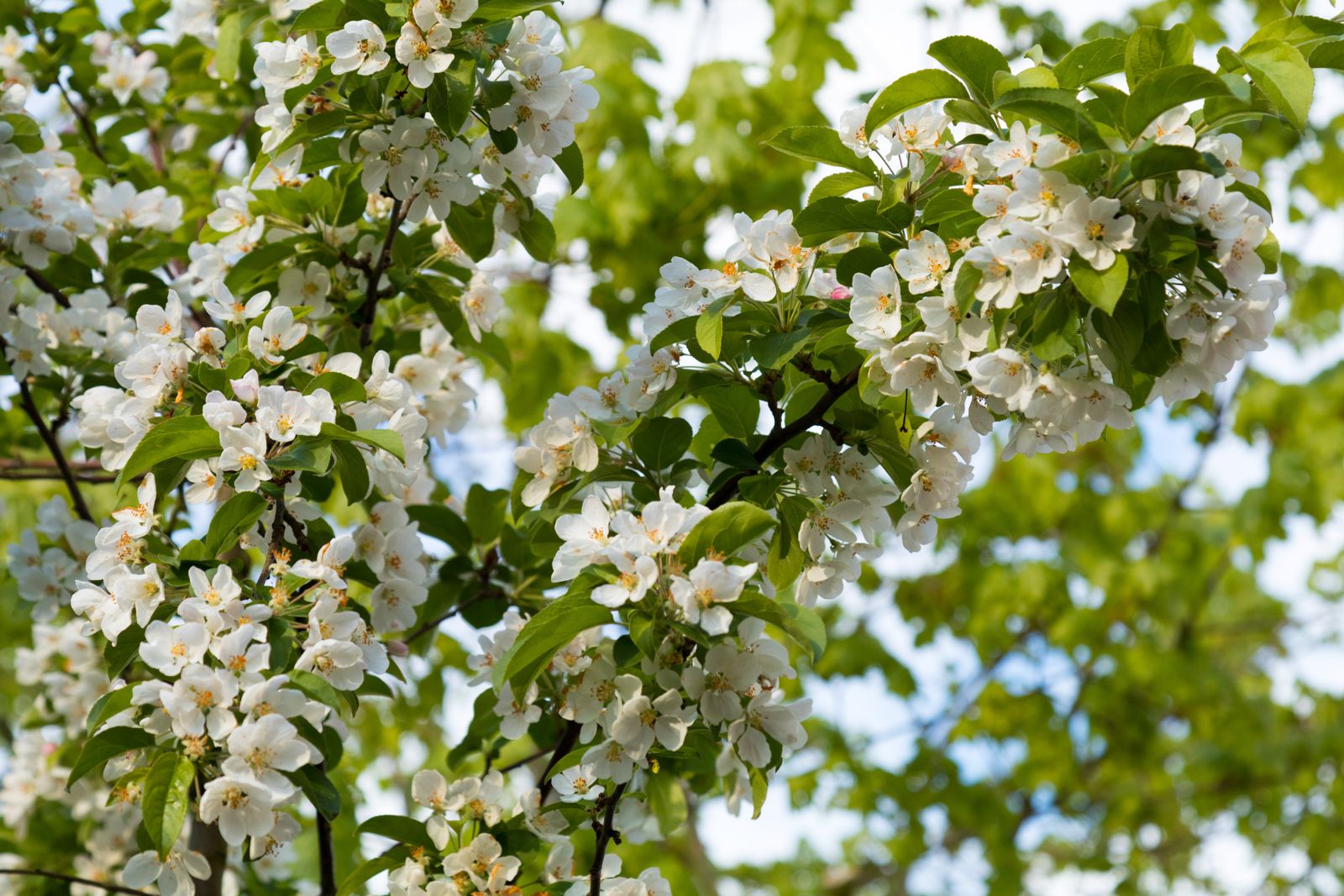 Wir wünschen ein gesegnetes und frohes Osterfest 2026